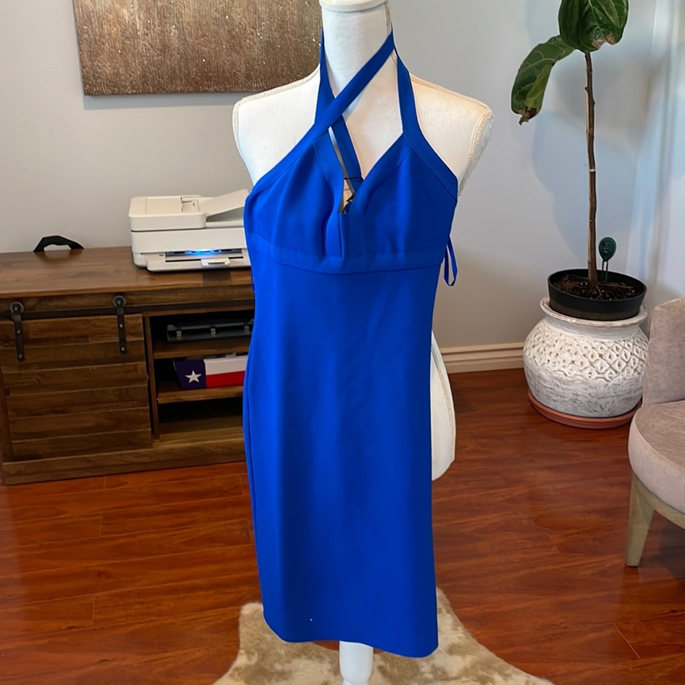 NWT BCBG Dress